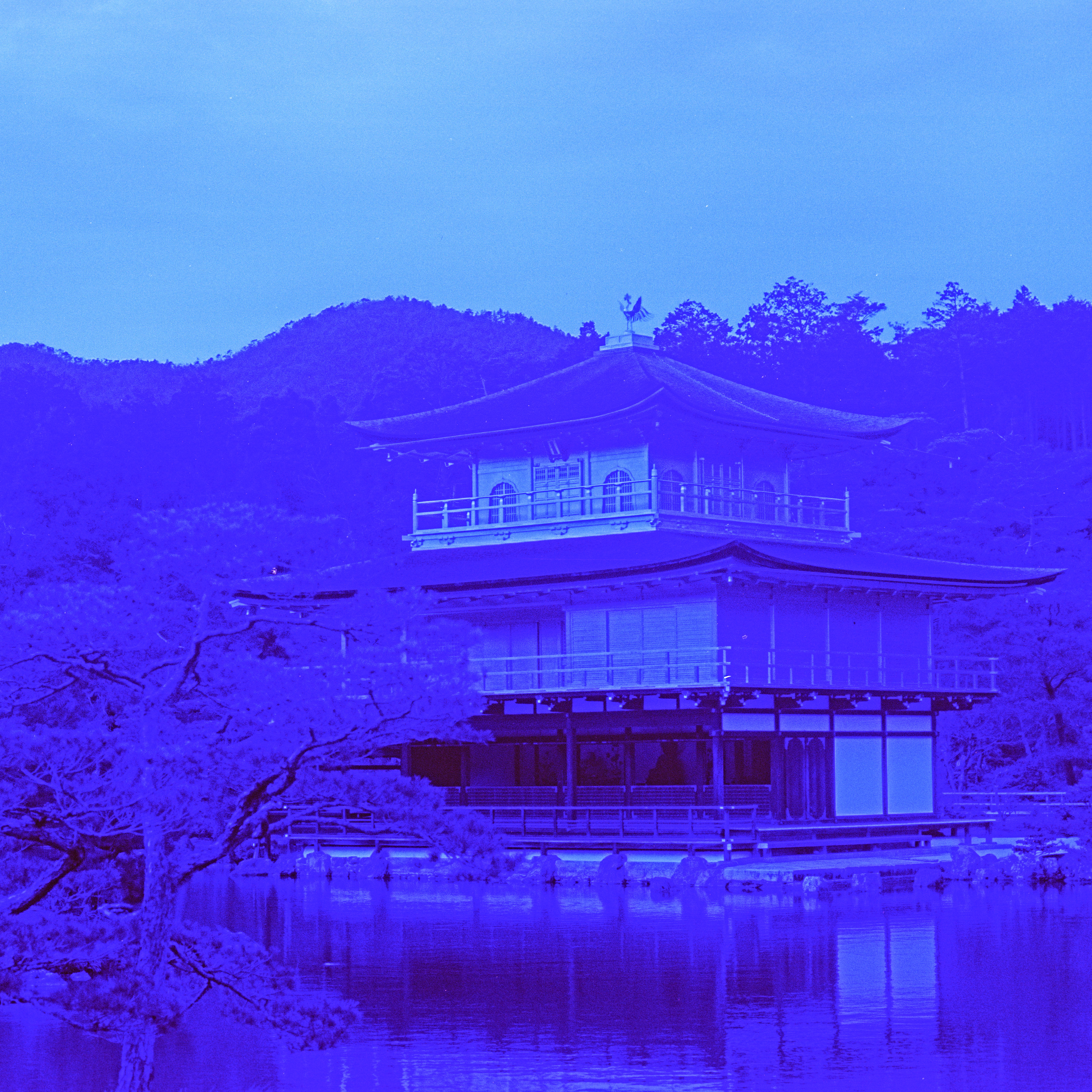 Kinkaku-ji — Kyoto, 2024